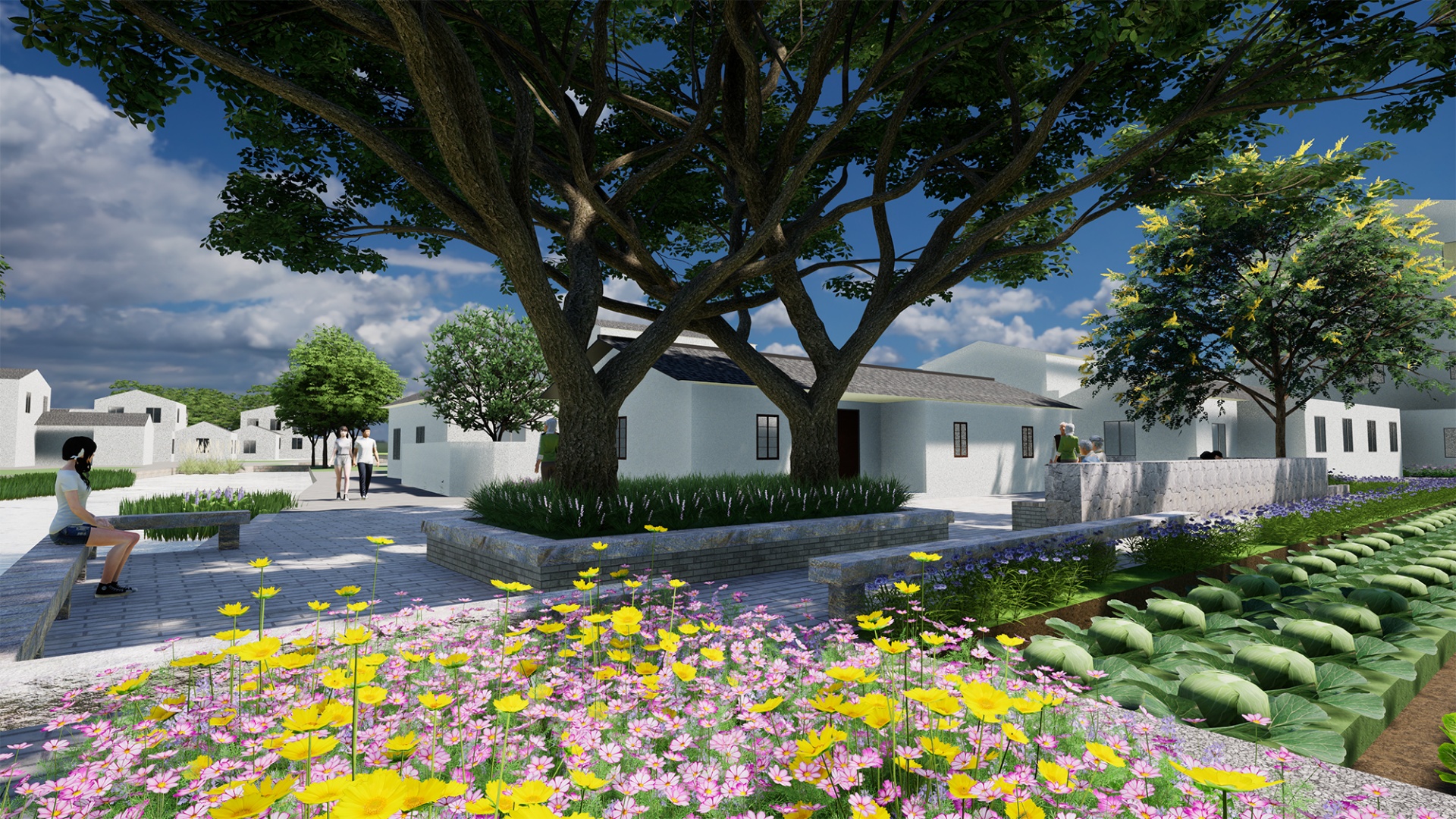 吳江美麗鄉(xiāng)村改造