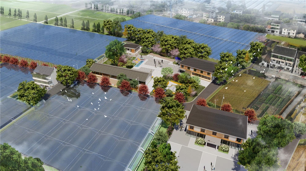 新倉鎮(zhèn)杉青港村省級未來鄉(xiāng)村創(chuàng)建方案