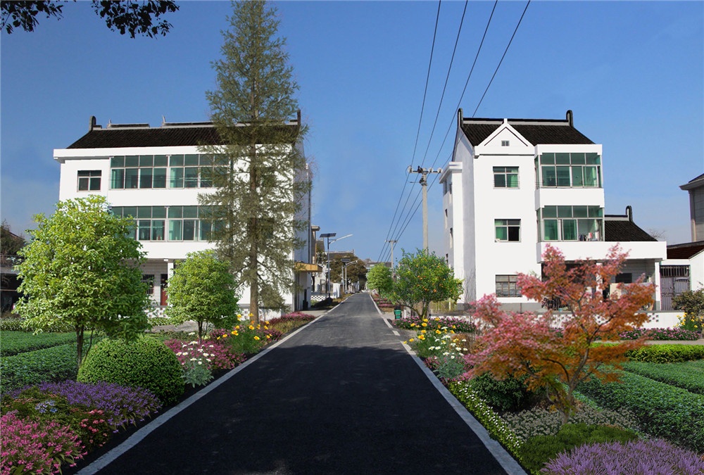平湖市新倉鎮(zhèn)中華村“浙派民居”美麗宜居示范村創(chuàng)建規(guī)劃設(shè)計方案