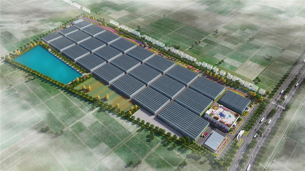 上海松江薔卉花卉生產(chǎn)基地規(guī)劃設(shè)計(jì)