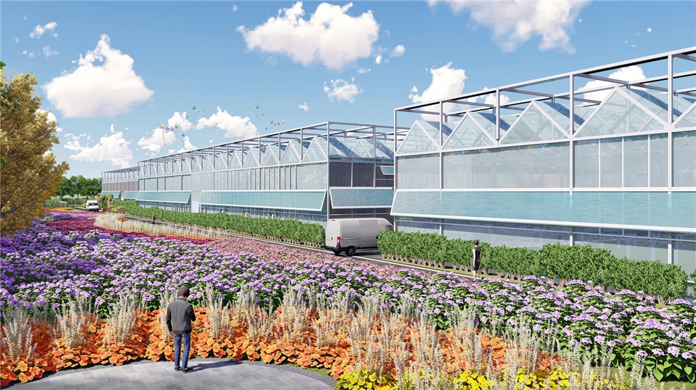 上海松江薔卉花卉生產(chǎn)基地規(guī)劃設(shè)計(jì)